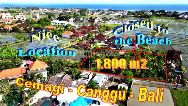 Near the Beach 18 Are Potential Land in Canggu Area 1