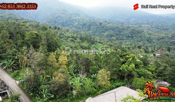 Affordable Land For Sale 7,300 Sqm In Penebel Tabanan 2