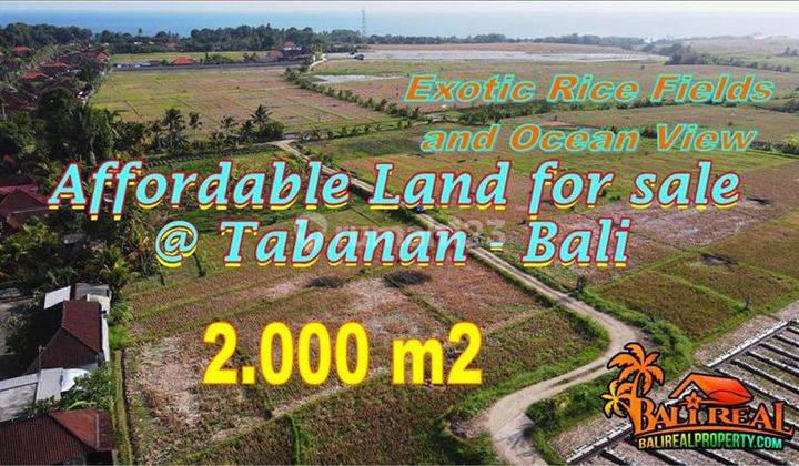 1,500 M2 With Rice Fields, Ocean And Mountain View In Kerambitan 1