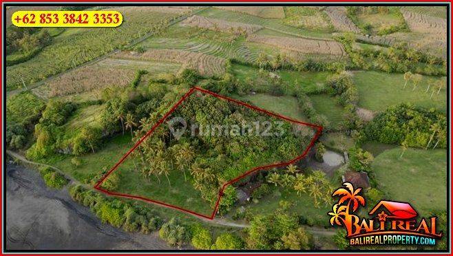 4,500 M2 With Beach Front With Rice Fields View In Selemadeg 2