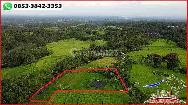 Cheap 2,700 M2 Semi Box Beautiful View Sloping Terraces 2