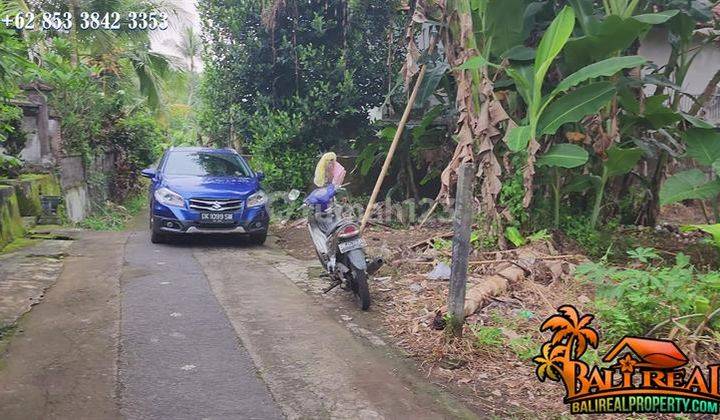 Affordable Land For Sale 1,500 Sqm In Sukawati Ubud 2