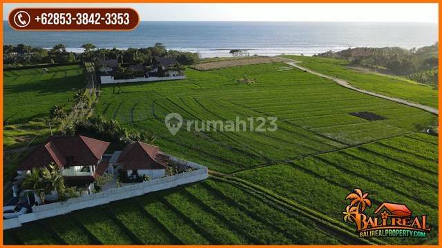 2,000 M2 Walking Distance To Beraban Beach In Selemadeg Tabanan 2