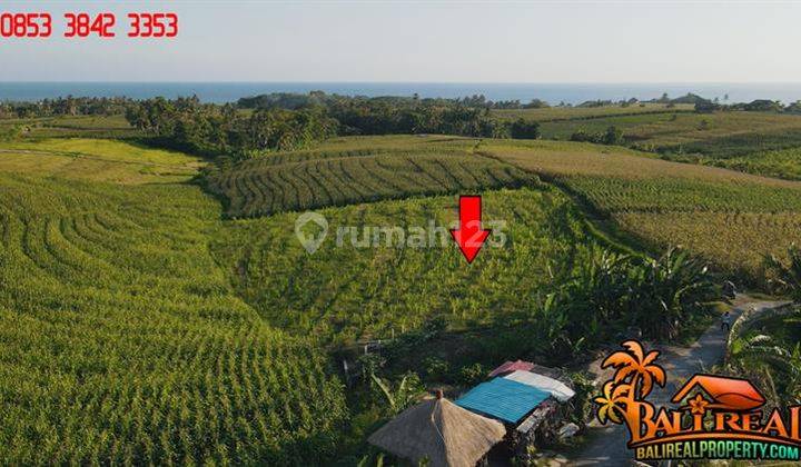 2,700 M2 With Rice Fields, Ocean And Mountain View In Klecung 2