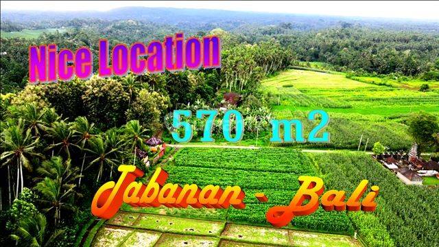 Strategic Concrete Access in Sukawati 5.7 Are View of Rice Fields and Mountains 1