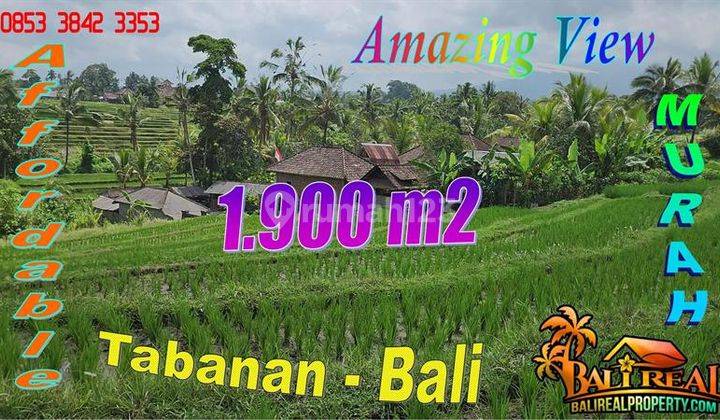 1,950 M2 With Rice Field And Mountain View In Penebel Tabanan  1