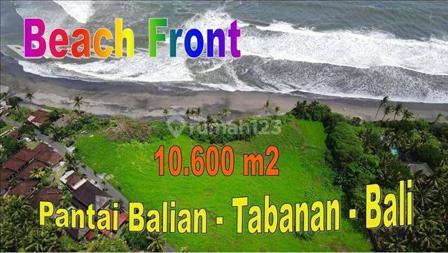 10,600 Sqm Land Sale For Investment In Selemadeg Barat Tabanan  1