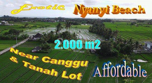 Exotic Yet Affordable 20 Are Land For Sale In Kediri Tabanan 1