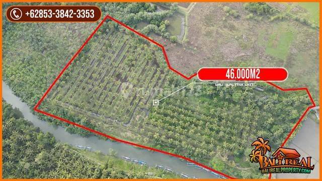 Strategic area of Air Kuning 4.6 Ha View of Rice Fields and Mountains 2