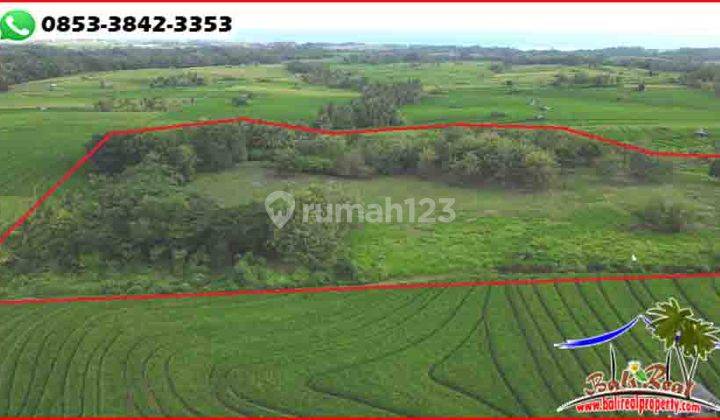 Affordable 29,720 Sqm In Tabanan Selemadeg 2