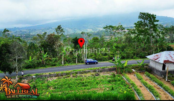 Exotic Land For Sale In Catur Plaga Not Far From Batur Lake 2