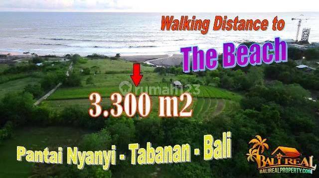 3,300 M2 With Rice Fields And Mountain View In Kediri, Tabanan 1