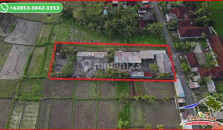 Potensial, Dijual Tanah 26 Are Area Blahbatuh Ubud 2