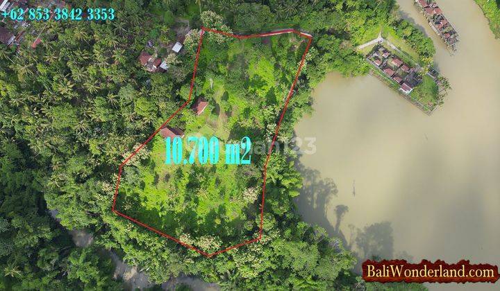 10,700 M2 With Telaga Tunjung Dam View In Penebel Tabanan 2