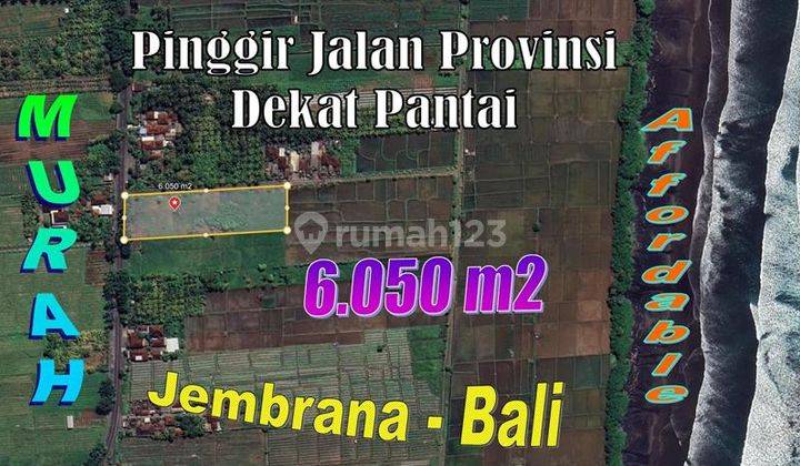 Cheap land for sale on the side of the provincial road in Bali 1