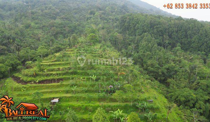 Beautiful Jungle, Hill, Mountain And City View In Angseri 2