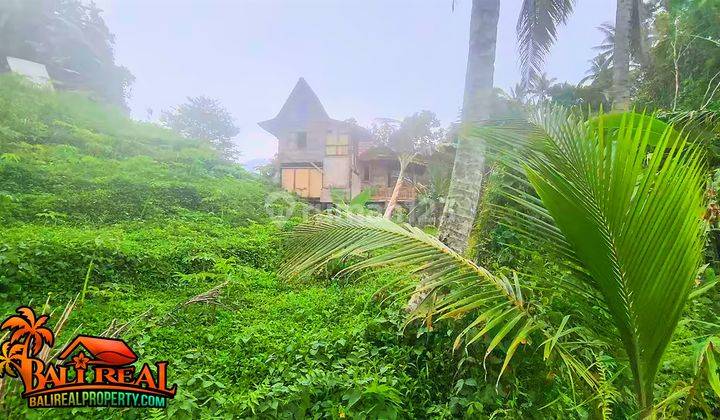 Affordable 7,700 sqm in Penebel Subak Road Access 1
