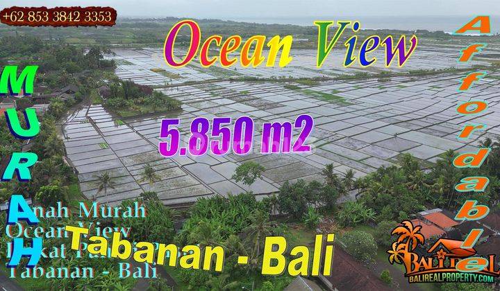 Rare 58.5 Are View of Rice Fields, Mountains and Sea in Kerambitan 1