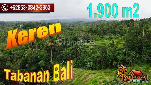 1,900 M2 With Rice Field And Mountain View In Penebel Tabanan 1