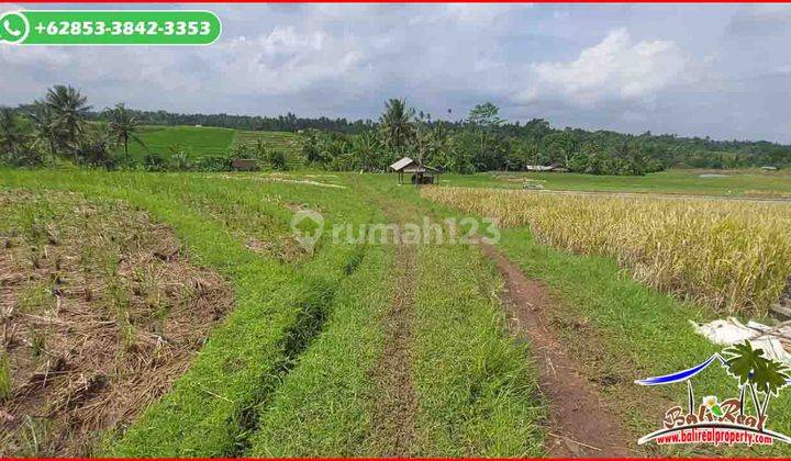 Mostly Flat 44 Ares Beautiful Land In Selemadeg 2