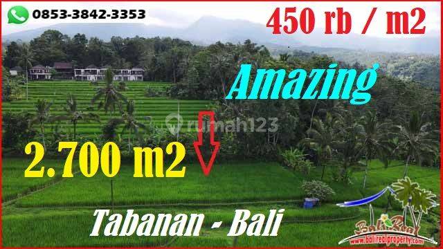 Ideal untuk Rumah Tinggal 27 Are di Penebel Tanah Sawah 1