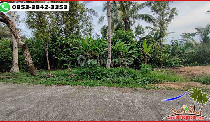 Dominant Flat 2 Hectares Land Near Medewi Beach 2