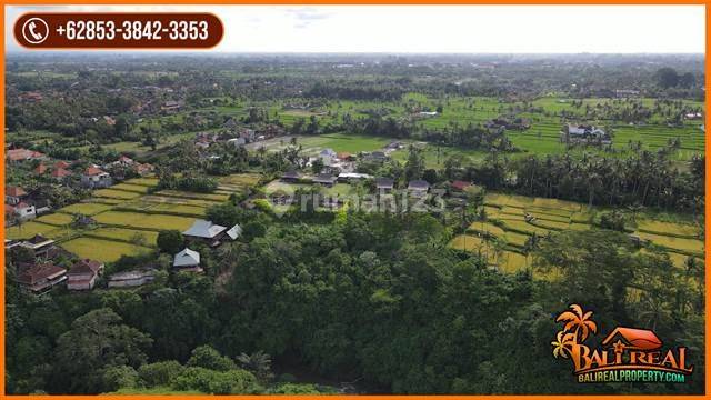 Exotic yet affordable 330.0 Are in Sukawati Ubud 2