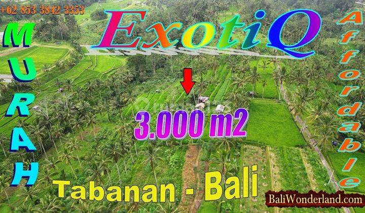 3,000 M2 With Rice Fields And Mountain View In Baturiti Tabanan 1