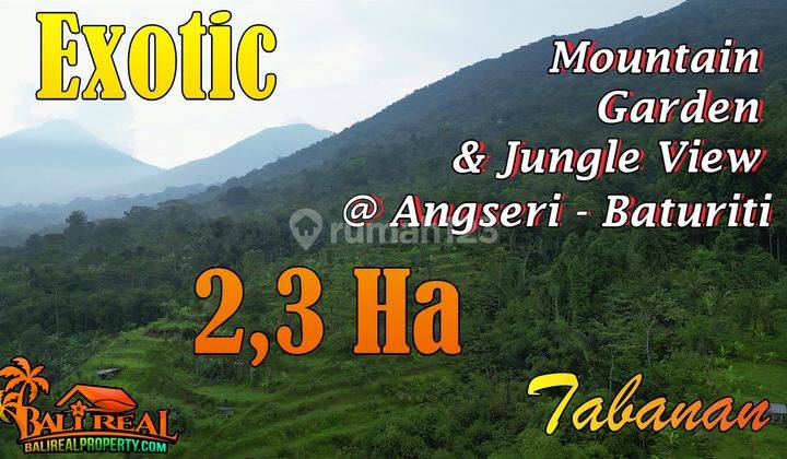 Beautiful Jungle, Hill, Mountain And City View In Angseri 1