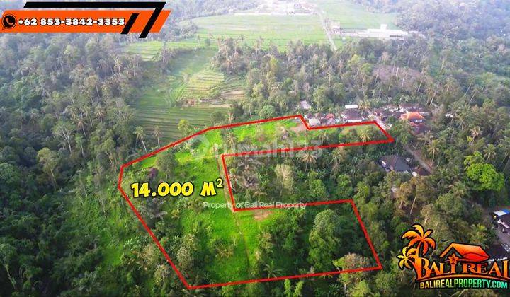 Exotic Yet Affordable 14,000 M2 In Penebel Tabanan 2