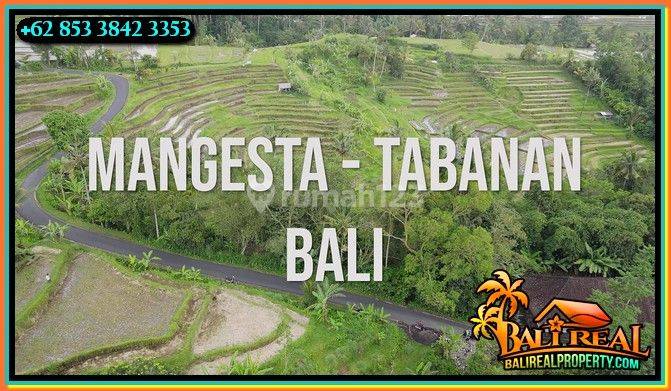 1,900 M2 With Rice Field And Mountain View In Penebel Tabanan 2