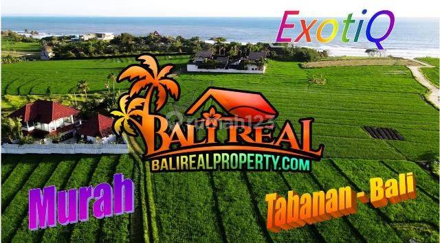 2,000 M2 Walking Distance To Beraban Beach In Selemadeg Tabanan 1