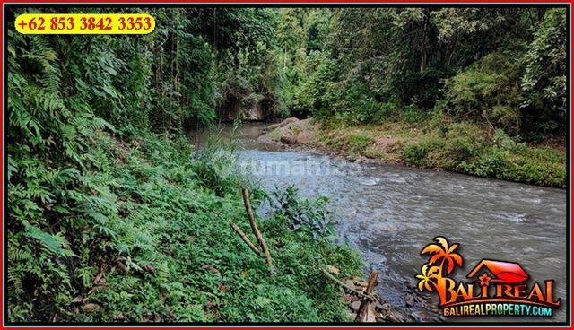 Cheap Land in Central Ubud 24 Are Forest View Paving Access 2