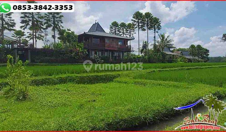 View Sawah, Gunung dan Laut 1,800 m2 di Penebel Tabanan 2