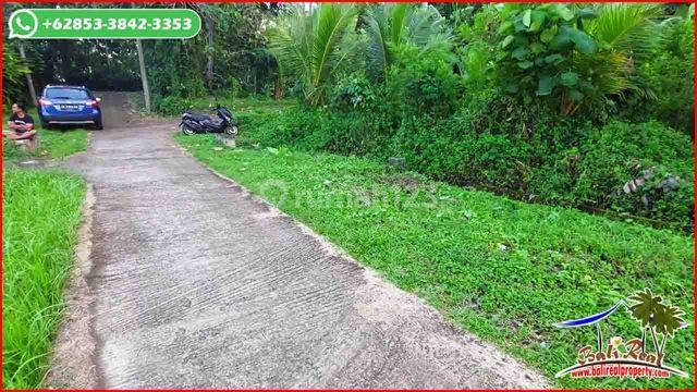 Strategic Concrete Access in Sukawati 5.7 Are View of Rice Fields and Mountains 2