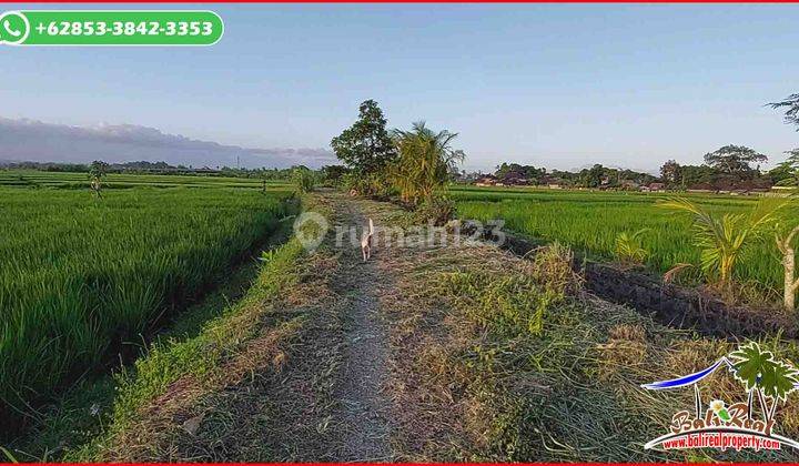 Flat Land 3,700 M2 For Sale Closed To Alila Soori Resort 2