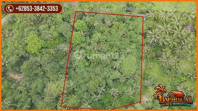 4,500 M2 With Jungle And Rice Fields View In Penebel Tabanan 2