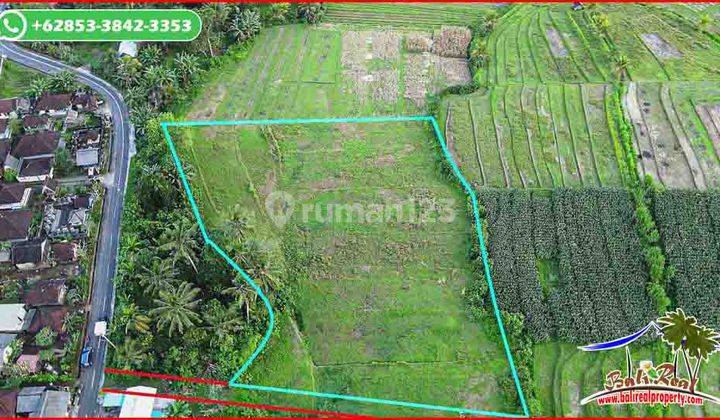 5,300 M2 With Rice Fields And Mountain View In Selemadeg Timur 2