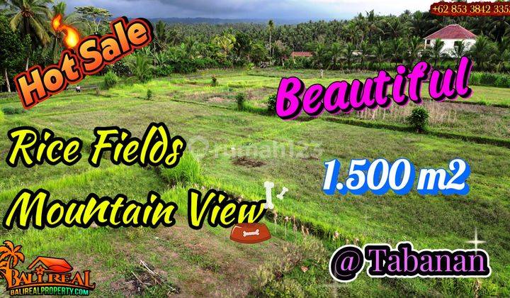 Land For Sale 1,700 M2 Near To Telaga Tunjung Dam In Penebel 1