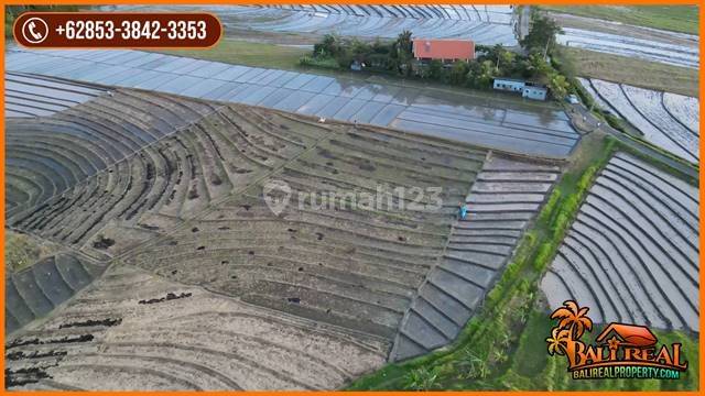 Beautiful Rice Field, Mountain And Ocean View In Selemadeg Timur 2