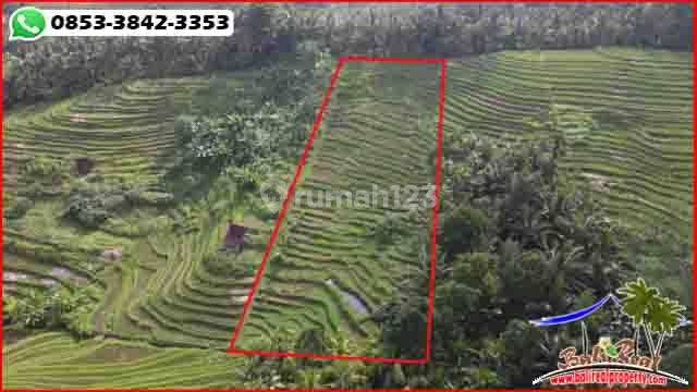 Land For Sale 2,800 M2 Freehold With Sunrise View In Gadungan 2