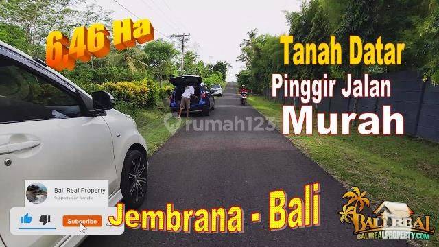 Tanah Kebun Siap Bangun 64.600 m2 Akses Lebar di Jembrana Bali 1