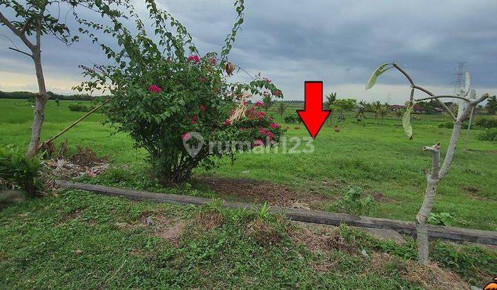 Cheap land for sale on the side of the provincial road in Bali 2