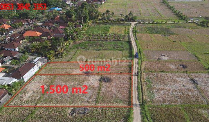 1,500 M2 With Rice Fields, Ocean And Mountain View In Kerambitan 2