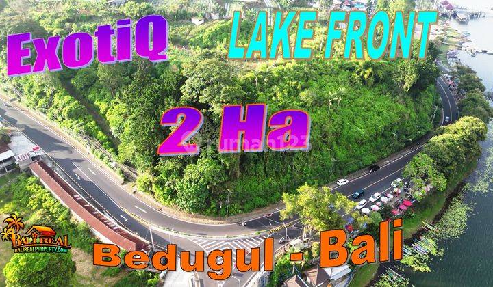 20,000 M2 By Beratan Lake With Mountain View In Candi Kuning 1