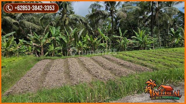 Exotic Yet Affordable Land For Sale 22 Are In Marga Tabanan 2