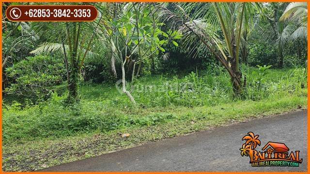 6,500 M2 With Jungle And River View In Selemadeg Timur 2