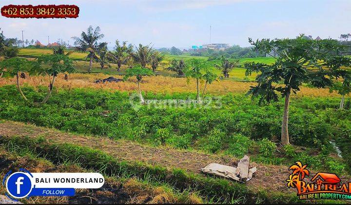 Langka, Murah 7.5 Are View Sawah, Gunung Dan Laut Dekat Pantai 2