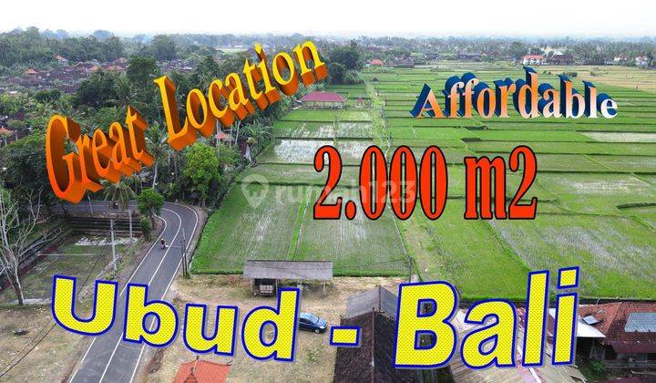 Affordable 2,000 Sqm In Sukawati Closed To Goa Gajah 1