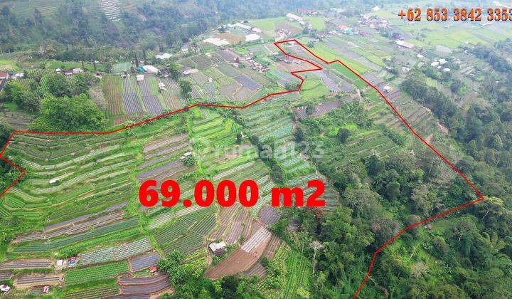 Exotic yet affordable 690 Are in Baturiti Tabanan